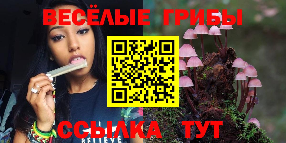 Псилоцибиновые грибы ЛСД Сергиев Посад