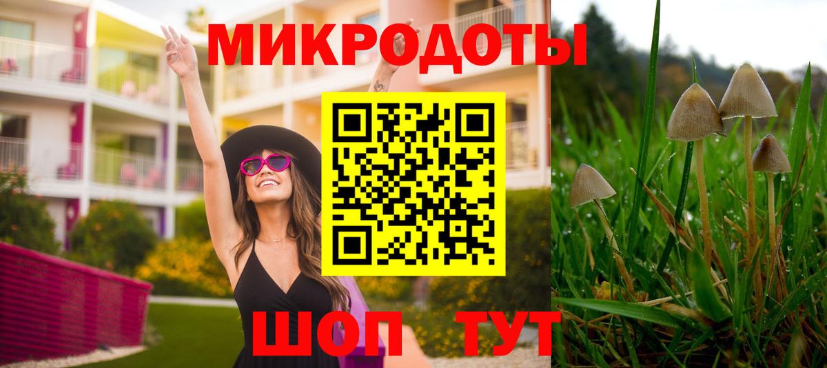 A PVP Сергиев Посад